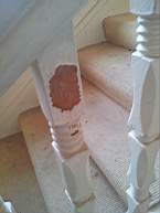 fkillineybeforeinternal 1120.jpg